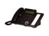 LDP-7024D (для IpLDK)